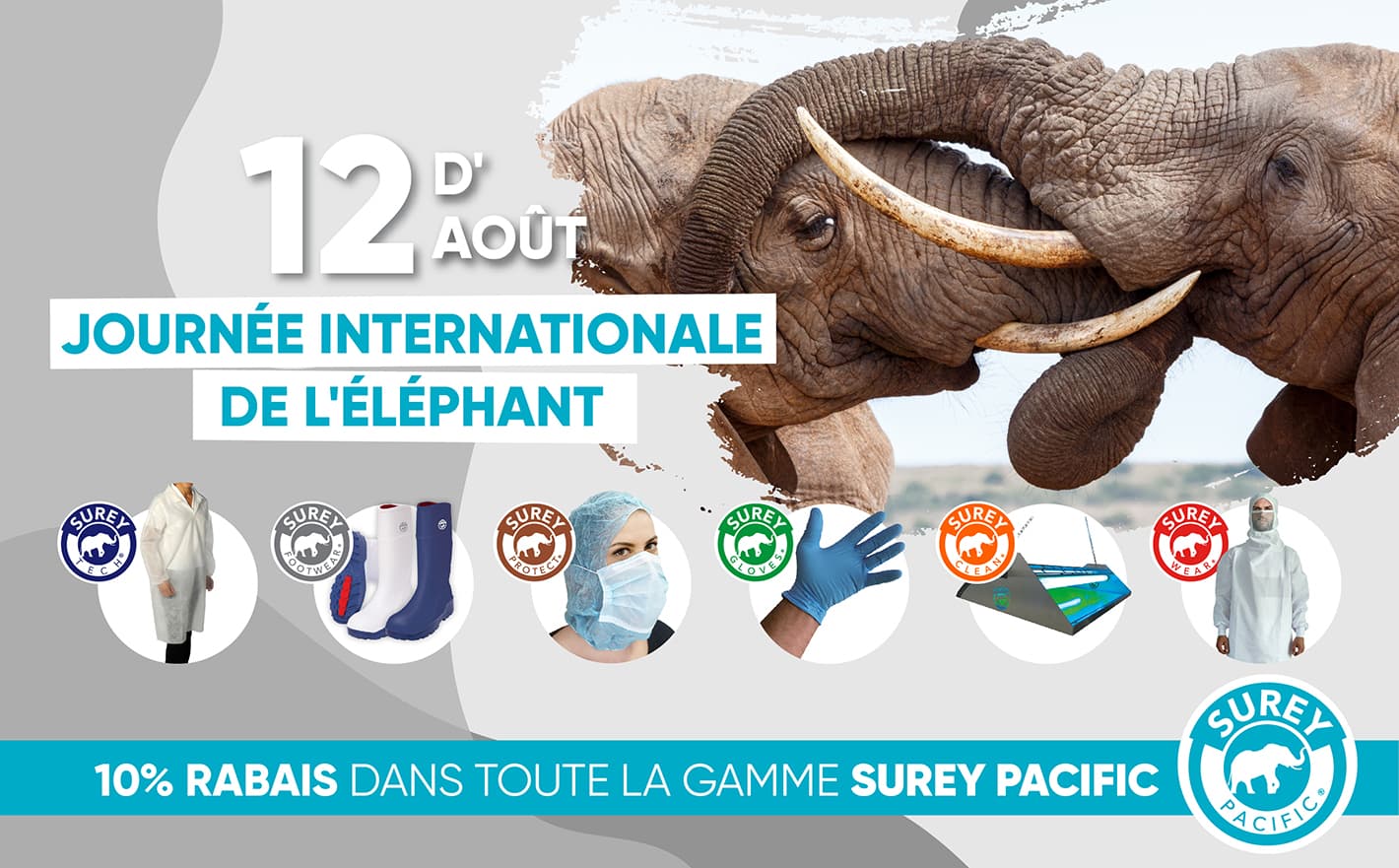 Célébrez la Journée mondiale des éléphants avec Reysan 2022
